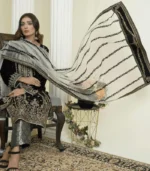 ready to wear dress Pakistan