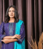 elegant party wear dress women